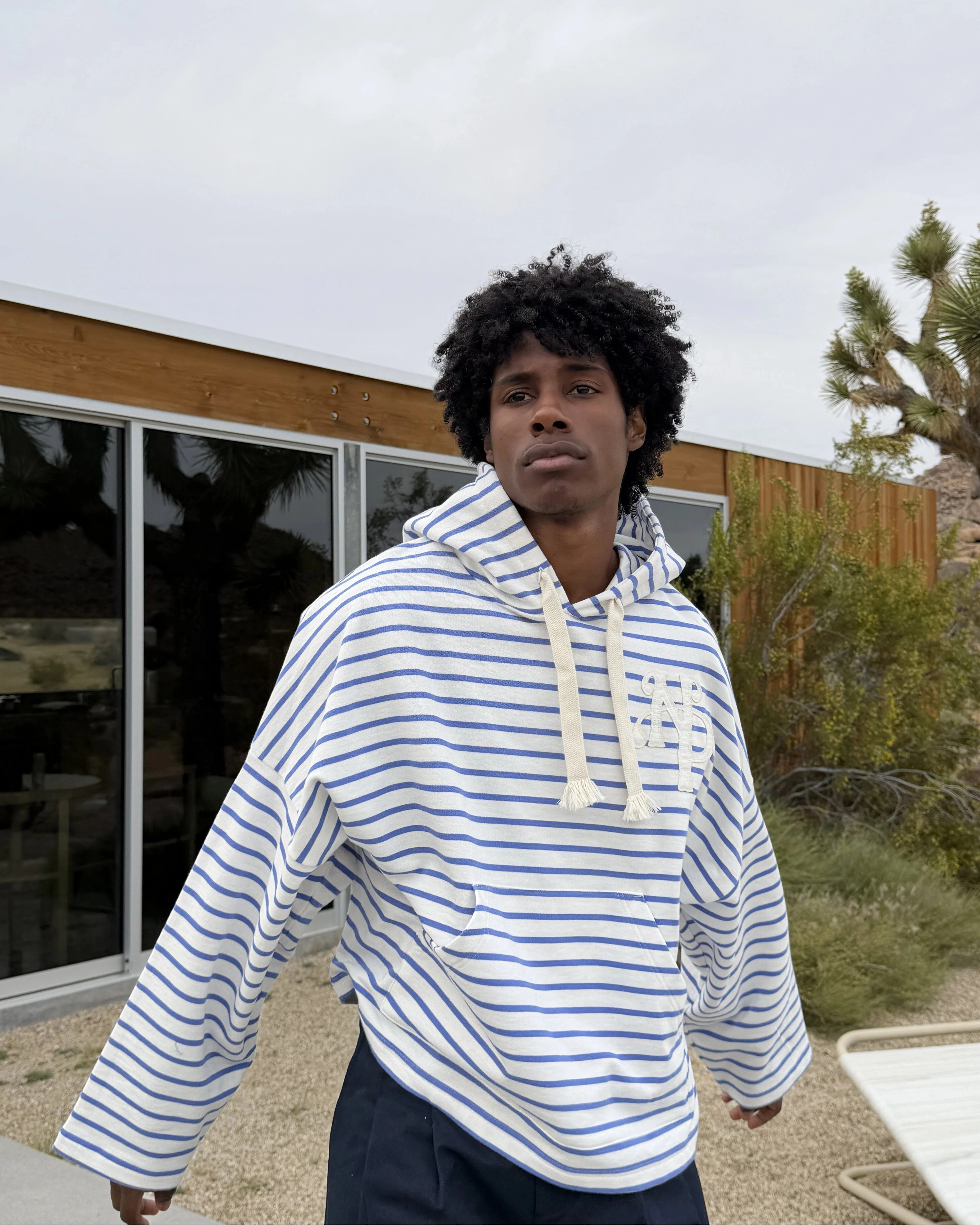 Rayas Hoodie
