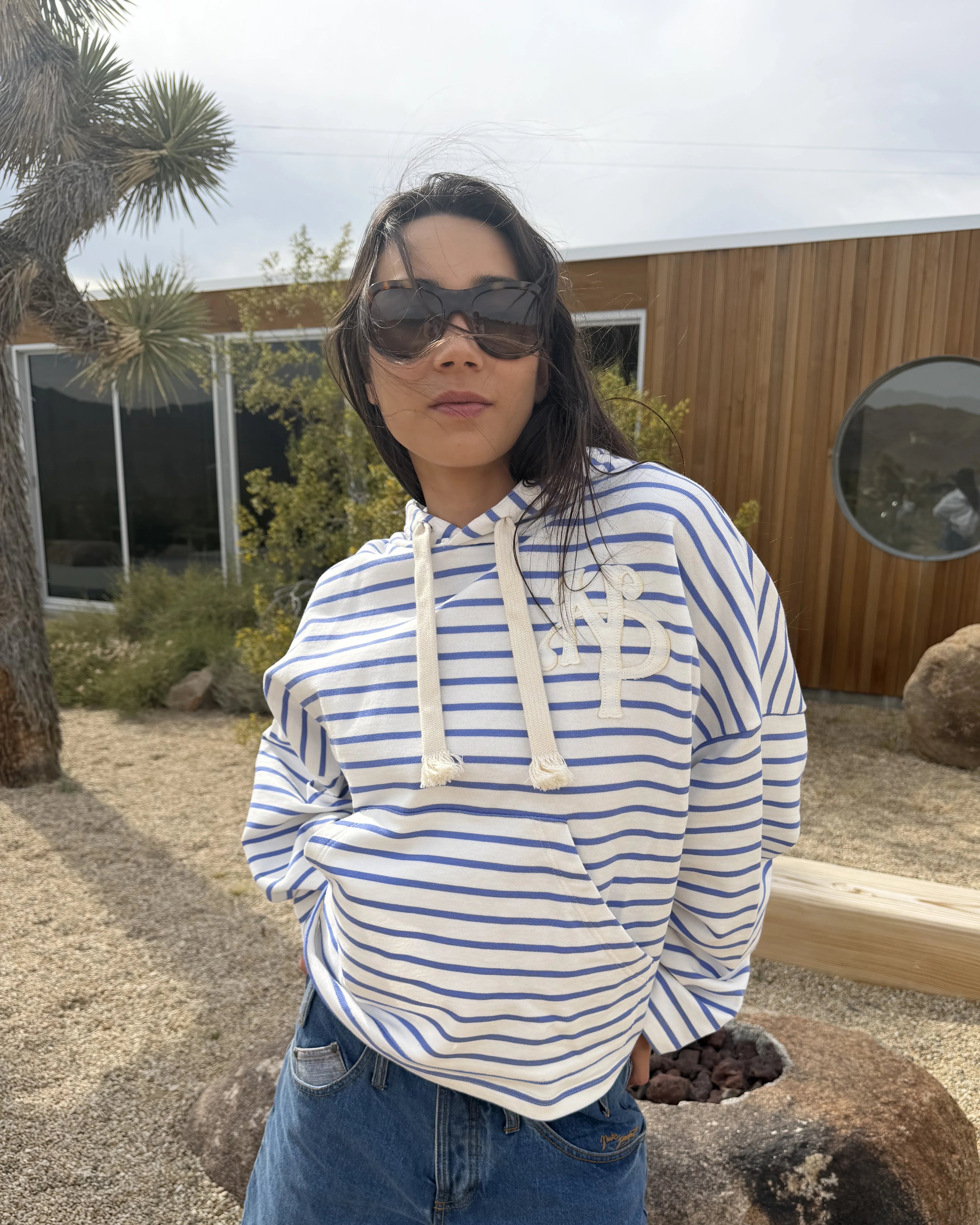 Rayas Hoodie